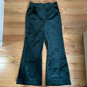 Express velvet green wide leg pants.